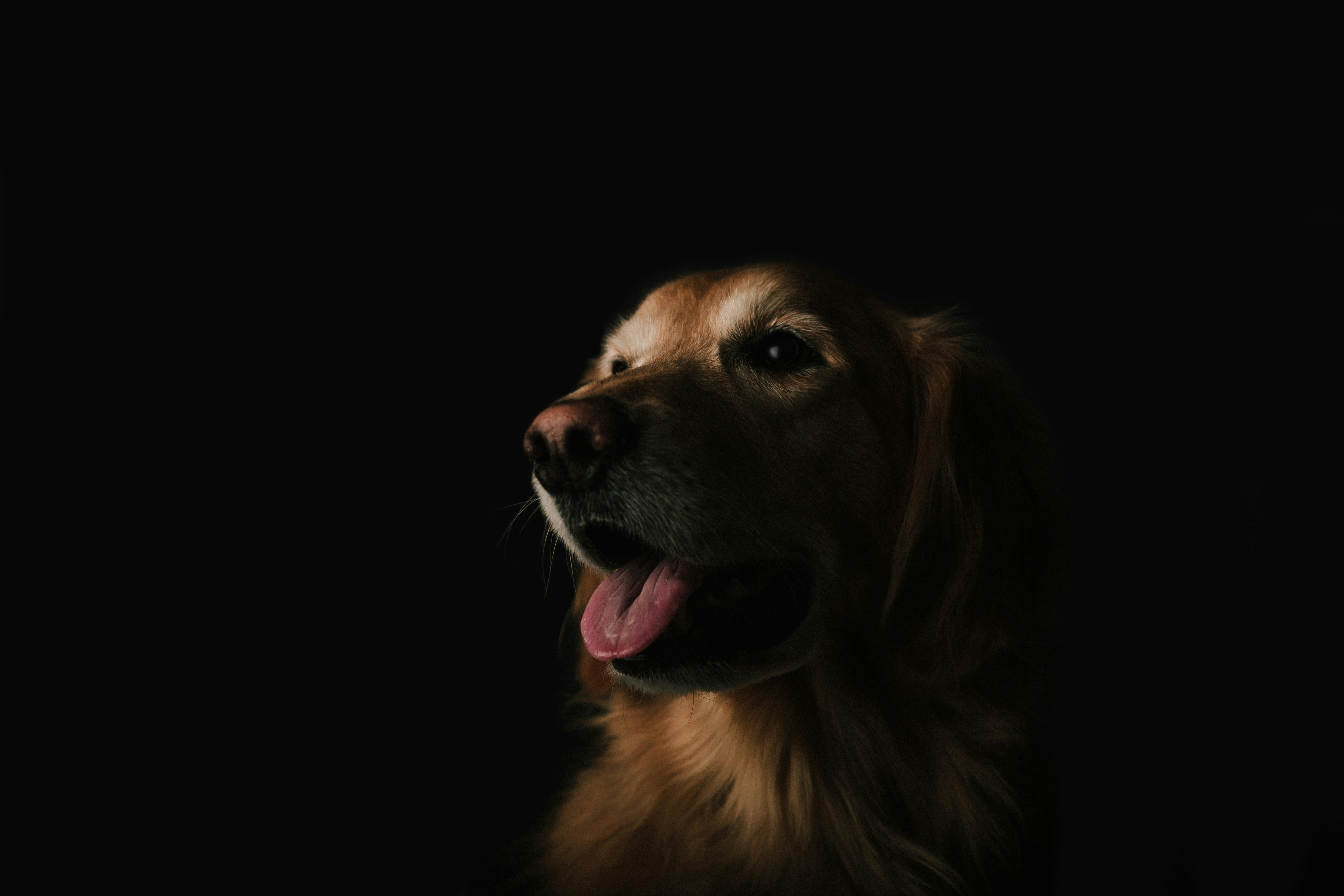 Hero Background